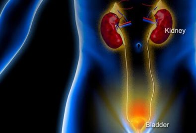 bladder-infection-symptoms-remedies-and-prevention