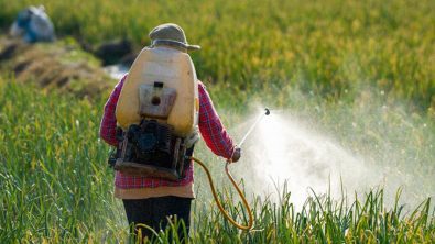 parkinsons-disease-is-linked-to-pesticides-according-to-a-study