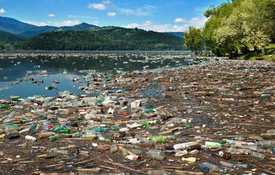 how-does-water-pollution-affect-humans-marine-life-and-the-environment-and-what-can-we-do-to-prevent-it