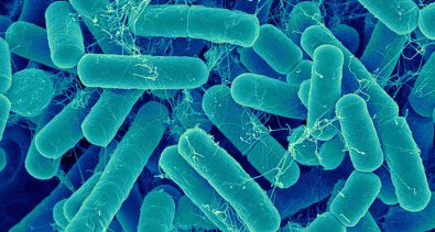 scientists-finally-discovered-a-new-non-invasive-probe-with-the-ability-to-monitor-healthy-gut-bacteria
