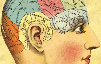 get-to-know-more-about-the-pseudoscience-behind-the-study-skull-shapes-phrenology