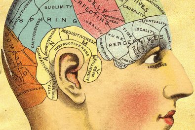 get-to-know-more-about-the-pseudoscience-behind-the-study-skull-shapes-phrenology