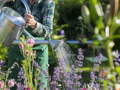 new-study-finds-that-gardening-just-twice-a-week-could-improve-your-overall-wellbeing-and-lessen-stress