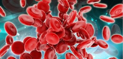new-study-finds-that-red-blood-cells-may-help-lessen-the-effects-of-aging