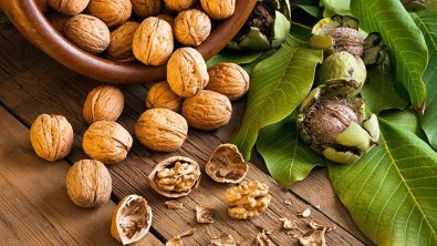 research-finds-that-eating-walnuts-daily-may-help-lower-bad-cholesterol