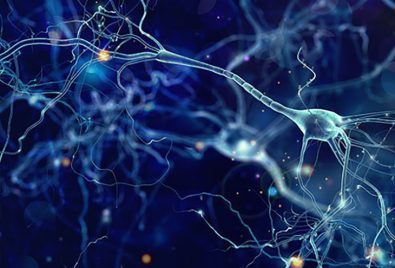 new-study-in-multiple-sclerosis-finds-new-genetic-clues-to-what-triggers-the-disease