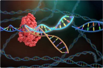 crispr-a-gene-editing-technique-that-may-target-fat-cells-and-aid-in-eliminating-obesity