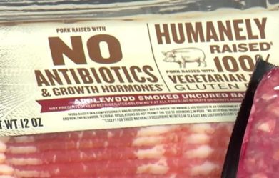 why-be-wary-of-the-no-antibiotics-labels-found-on-beef