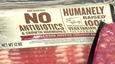 why-be-wary-of-the-no-antibiotics-labels-found-on-beef