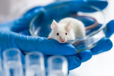groundbreaking-study-finds-memory-loss-reversed-in-mice-using-brain-liquid-from-younger-peers