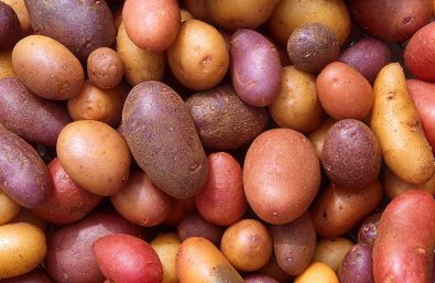 study-shows-that-potatoes-arent-bad-its-just-their-unfair-reputation