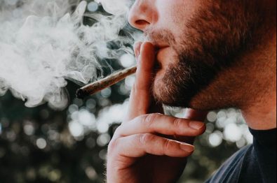 study-finds-emphysema-risk-could-be-higher-in-marijuana-smokers-than-cigarette-smokers