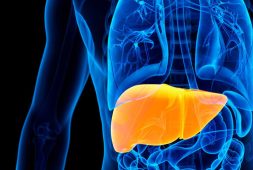 8-reasons-why-you-have-a-high-liver-enzyme-count
