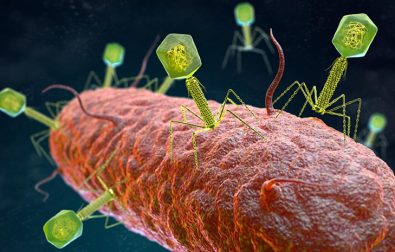 bacteria-in-sewers-may-be-the-answer-to-finding-cures-and-preventions-for-diseases-with-antimicrobial-resistance