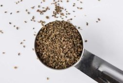 around-70-patients-reported-to-improvement-after-taking-celery-seed-drug-for-stroke