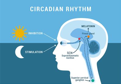 circadian-rhythms-have-a-major-impact-on-cluster-headaches-and-migraine-attacks