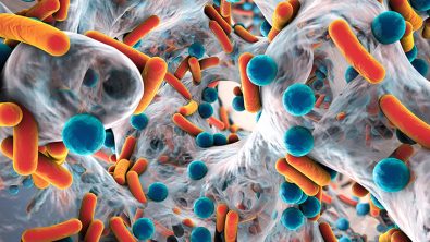 antibiotic-breakthrough-applying-shapeshifting-chemistry-gets-awarded-2022-nobel-prize