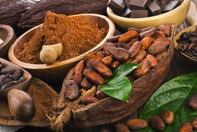 age-related-memory-loss-may-be-avoided-with-the-help-of-cocoa-flavanols