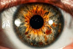 scientists-consider-nanotechnology-for-blindness