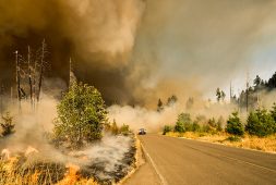 experts-weigh-in-on-how-to-protect-yourself-from-wildfire-smoke