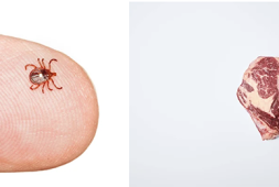theres-a-red-meat-allergy-caused-by-tick-bites-that-you-should-know-about