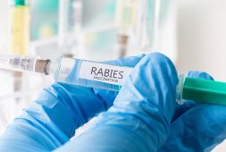 phase-1-trials-for-single-dose-rabies-vaccines-may-be-new-hope-for-animal-bite-victims