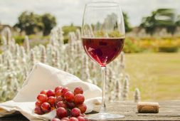 study-explains-why-some-people-get-headaches-when-drinking-red-wine