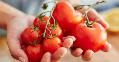 consuming-tomatoes-may-help-ease-hypertension