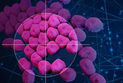 thanks-to-ai-new-study-finds-drug-that-could-combat-resistant-infections-like-mrsa