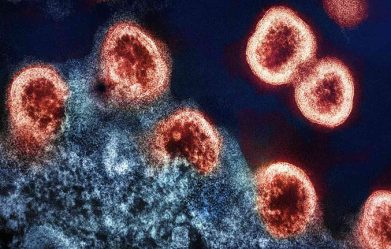 scientists-find-possible-hiv-cure-that-wipes-out-disease-from-cells-using-crispr-cas-gene-editing