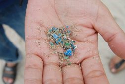 the-effects-of-having-microplastics-inside-our-system